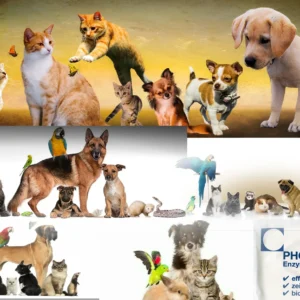 Phoenix Enzymreiniger Geruchsentferner Tiergeruch